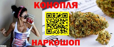 крисы Владимир