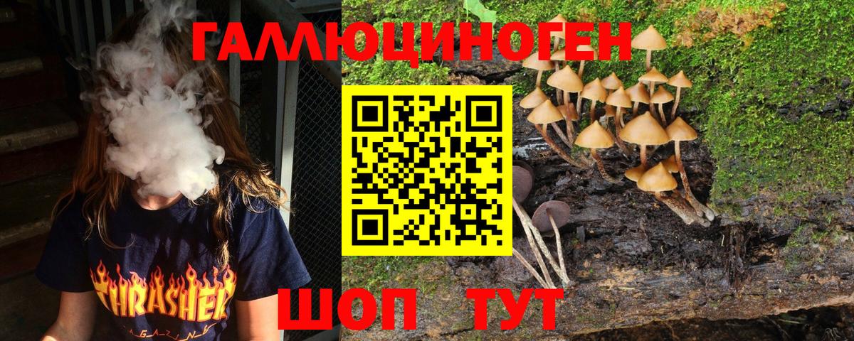 Бахчисарай  Псилоцибиновые грибы Psilocybe  Вход с VPN 