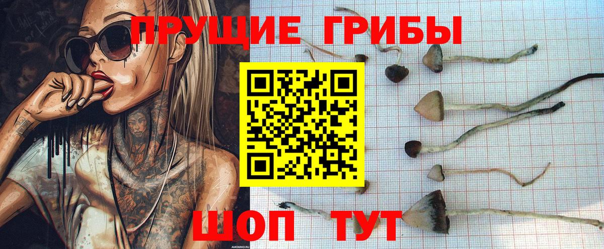 Галлюциногенные грибы мухоморы Бахчисарай